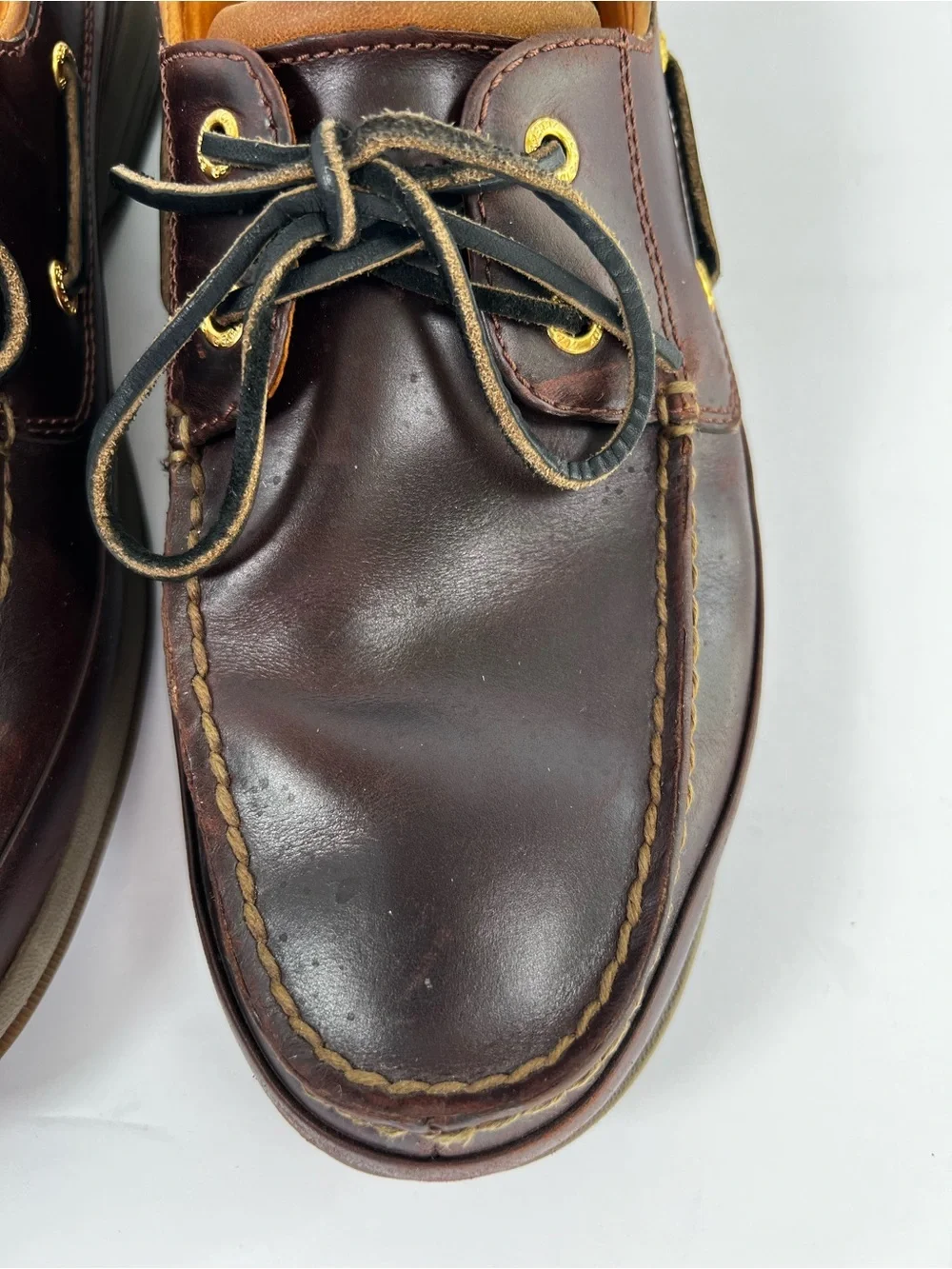 Sperry elevate your